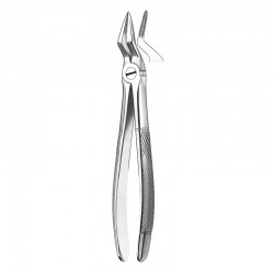Forceps nº51A