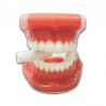 Mordedores para Alineadores Aditek 20u.
