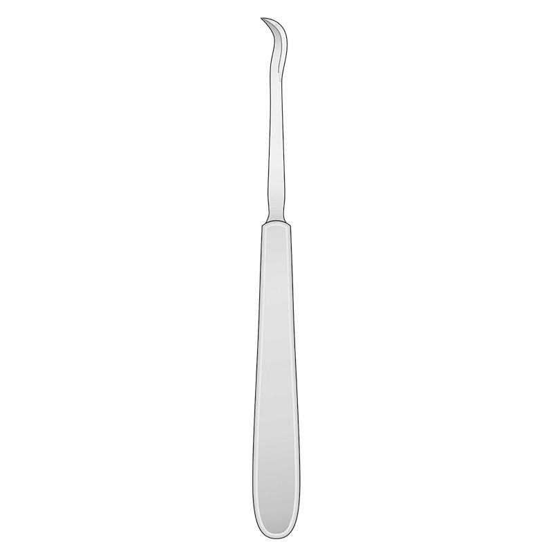 Sindesmotomo Chompret CH-2