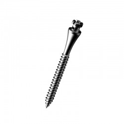 Mini-screws Fatscrew Large...